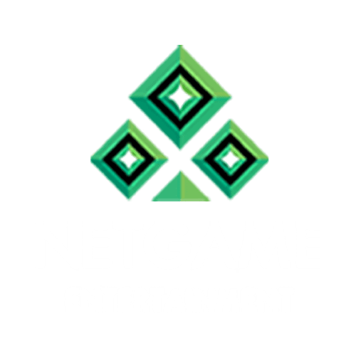 netgame